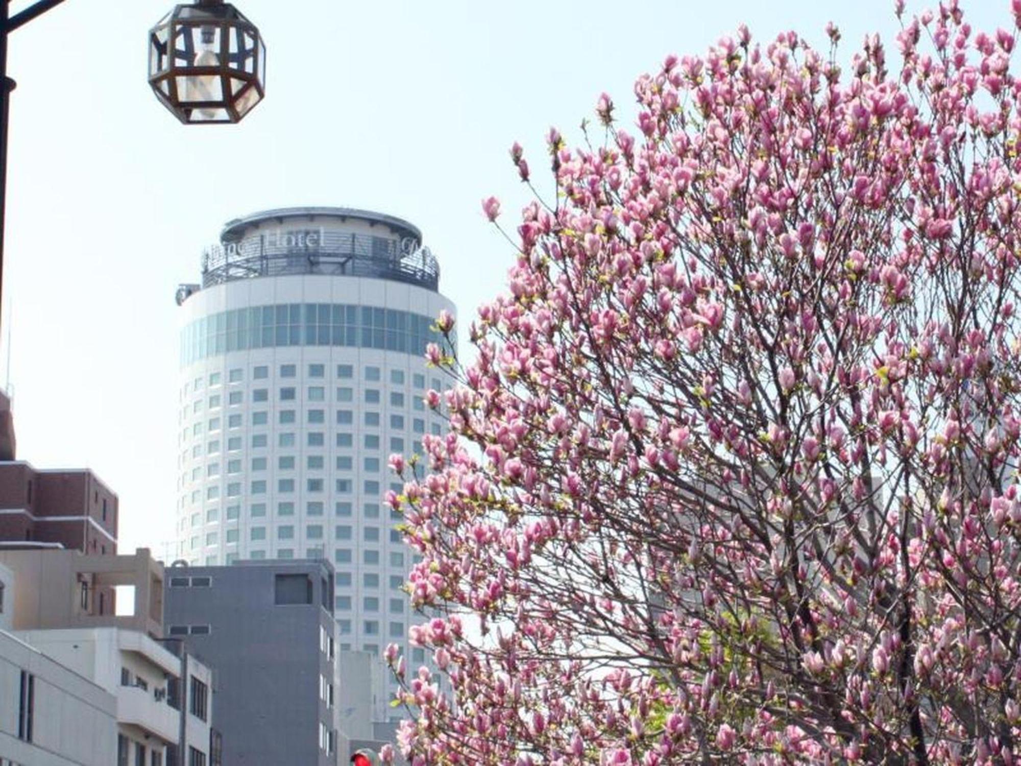 Sapporo Prince Hotel Екстериор снимка